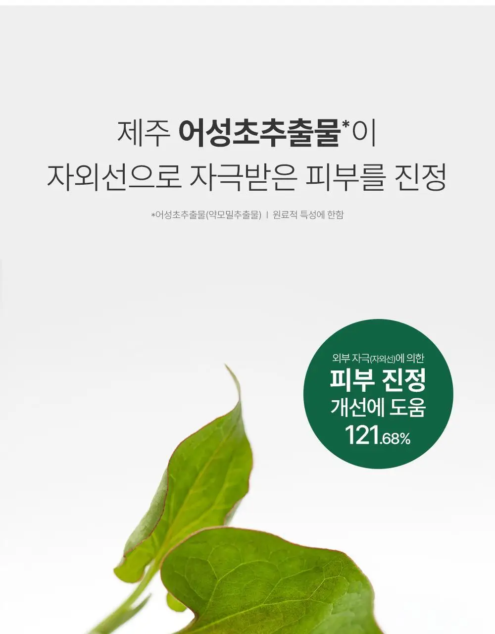 [핑크톤업] 구달 맑은 어성초 진정 수분 톤업 선크림 50ml 1+1 기획 상세페이지 24